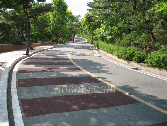 교통안전 문제 박재현 기자