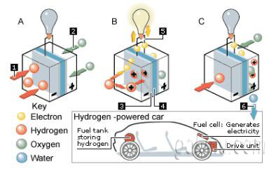 연료전지의 작동원리 임문혁(기계자동차공학·교수) 교수 제공