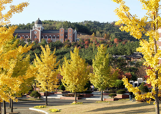 우리학교의 교목은 은행나무. 홍보팀